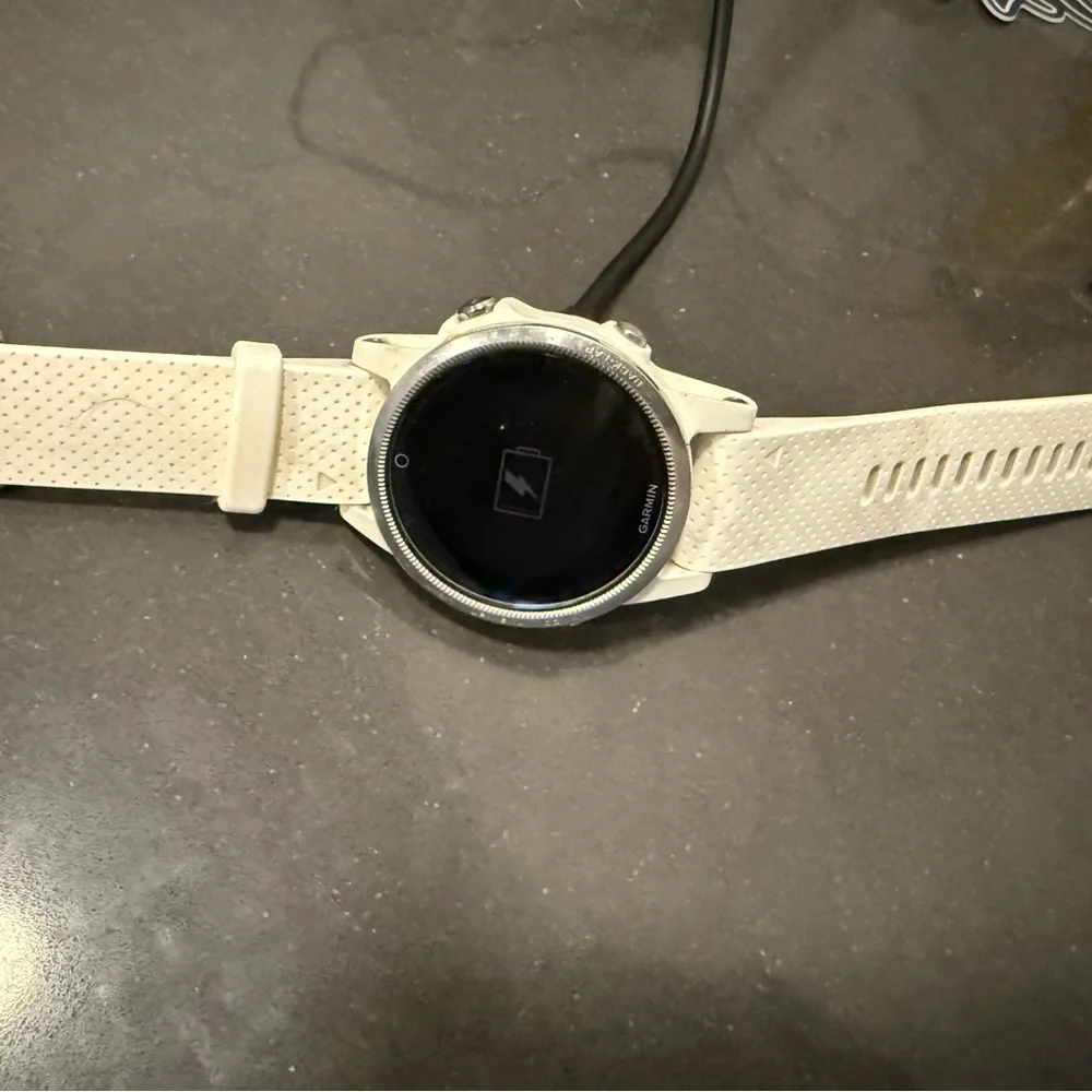 Garmin Fenix 5S